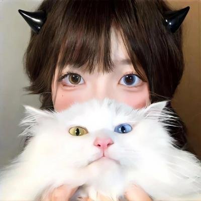 条子阿不拉